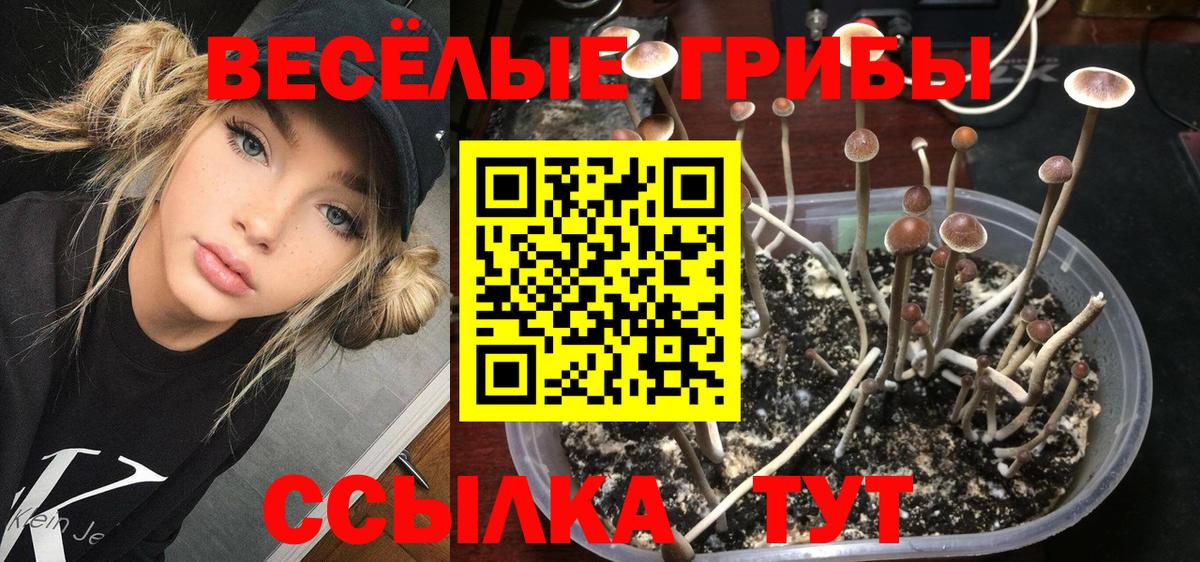 Галлюциногенные грибы Psilocybe  Вход с VPN  Рыбинск 