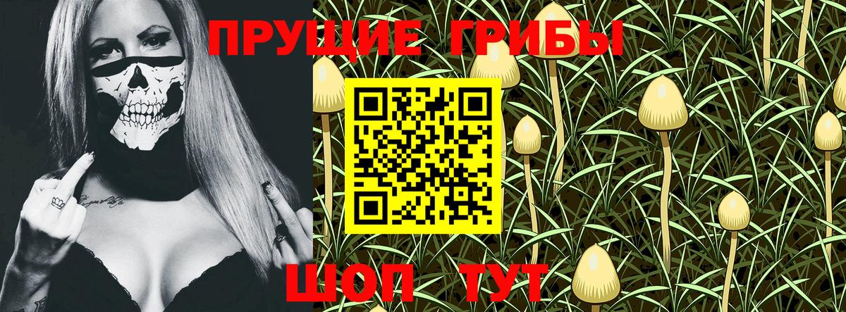 Галлюциногенные грибы GOLDEN TEACHER Рыбинск